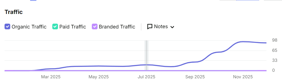 Website traffic performance dashboard displaying monthly traffic metrics and visitor trends.