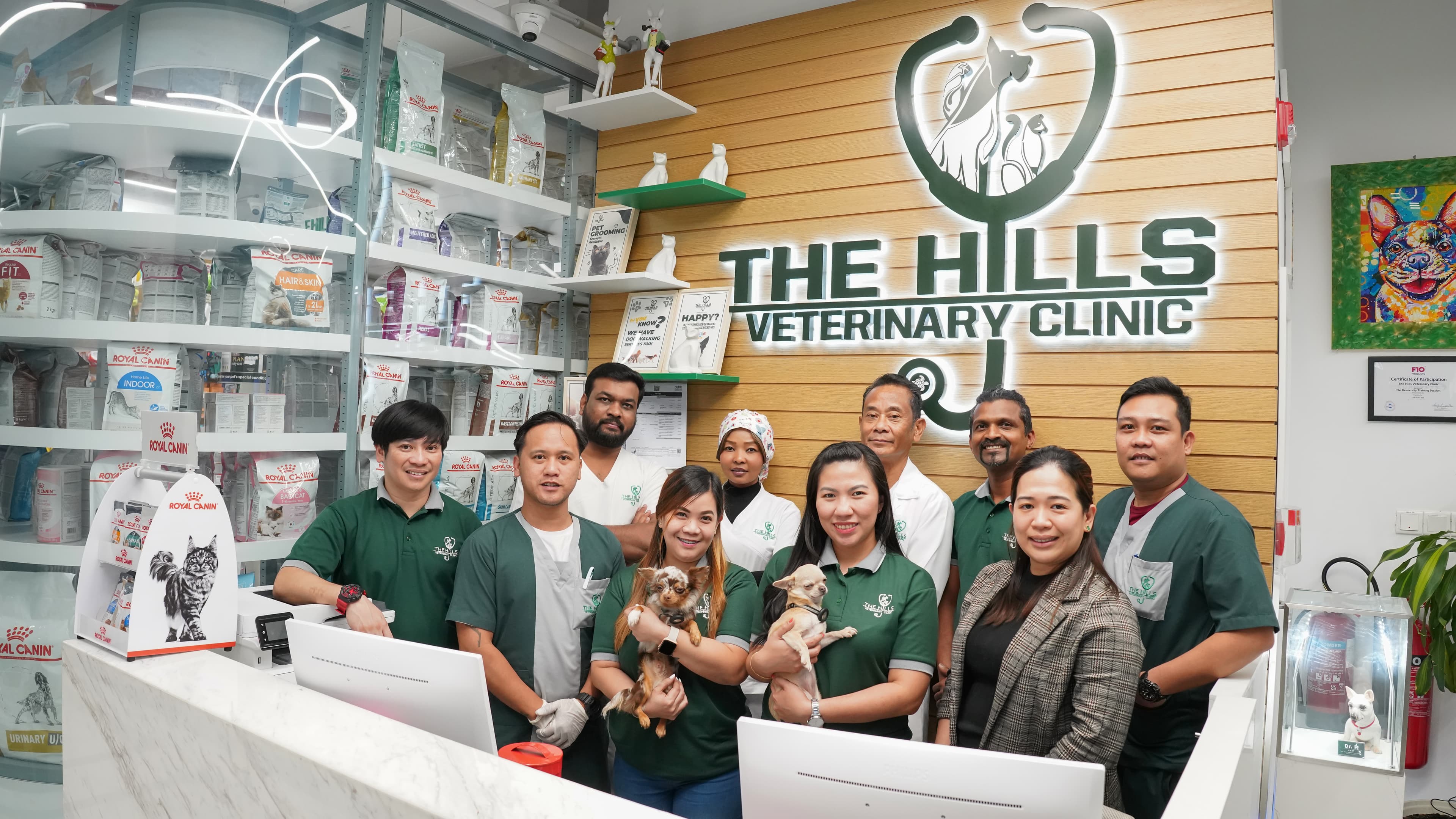 THV veterinary clinic social media growth case study showing increase in impressions engagement and followers by Prism Digital