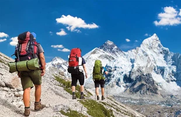 TripGuru travel website showcased in Prism Digital portfolio on laptop screen